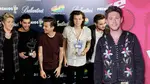 Niall Horan shares update on One Direction's 'new group chat'