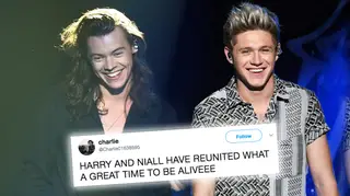 Harry Styles and Niall Horan met at The Eagles London concert