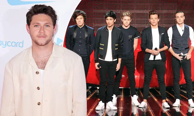 Niall Horan reflected on his time in One Direction and the fame that came with it