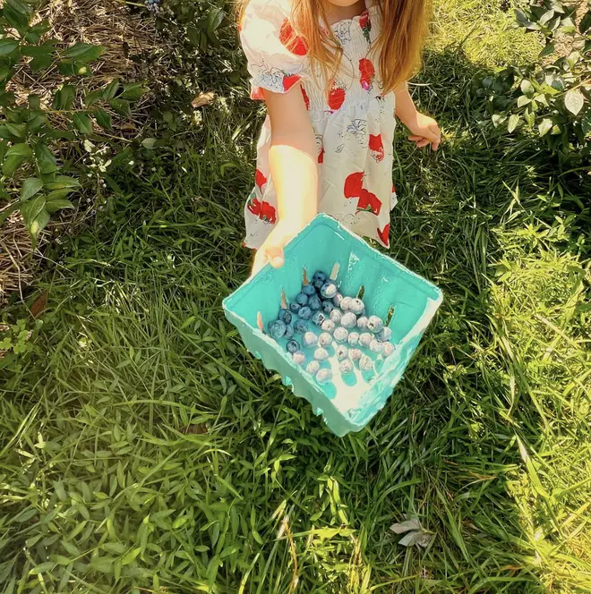 Gigi and Khai went blueberry picking