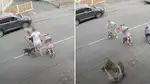 Police released footage of another shocking dog attack