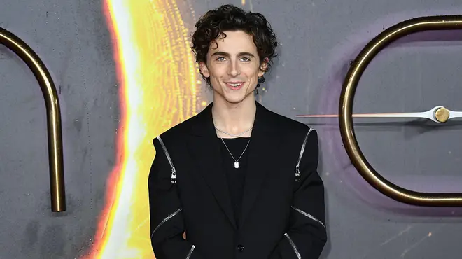 Timothée Chalamet on the red carpet of movie Dune