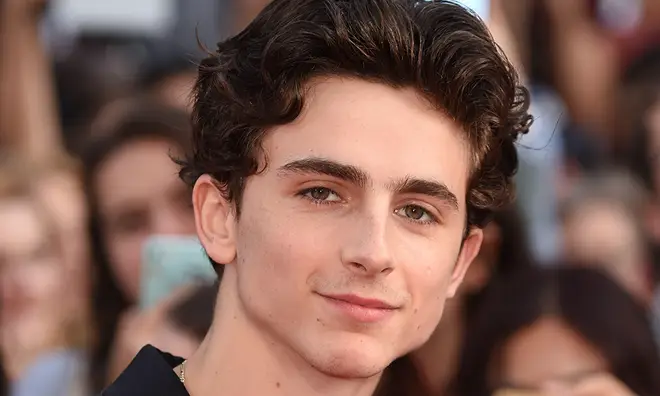 Timothée Chalamet has been in a string of successful TV shoes and movies