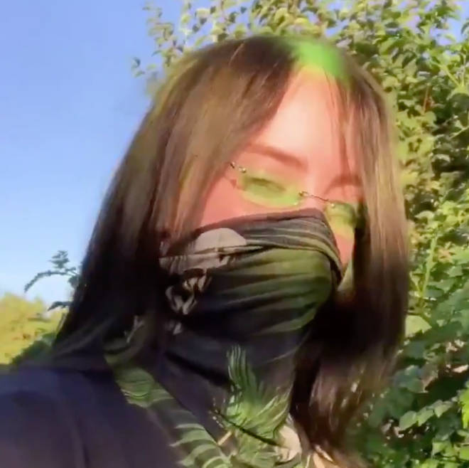Billie Eilish shows off her new green hair