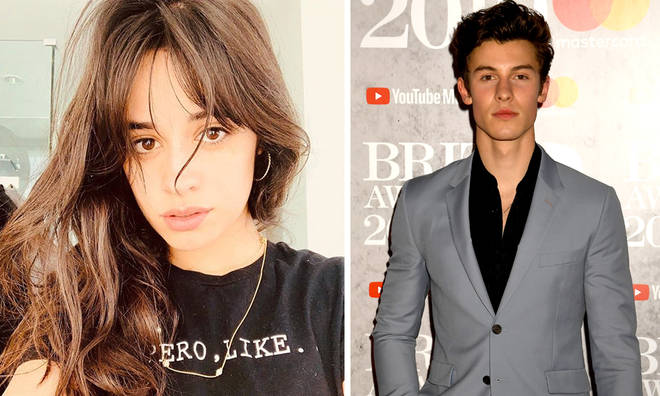 Camila Cabello fuels rumours of Shawn Mendes romance