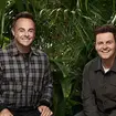 Ant and Dec earn an estimated £3.3 million for presenting I'm A Celeb