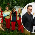 When will Ant and Dec announce the 2023 I'm A Celeb winner