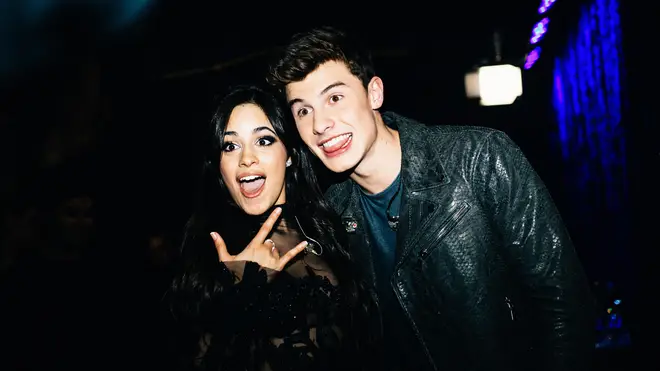 Shawn Mendes is rumoured to be dating Camila Cabello