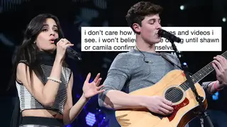 Shawn Mendes and Camila Cabello are yet to confirm they're dating