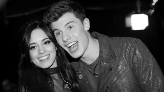Shawn Mendes and Camila Cabello's relationship is 'moving quickly'