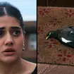 Who is Bird Psycho in Heartbreak High season 2? The ending explained