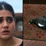 Who is Bird Psycho in Heartbreak High season 2? The ending explained