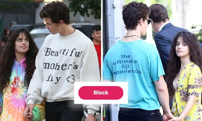 Camila Cabello blocks users doubting her relationship with Shawn Mendes