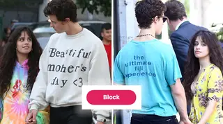 Camila Cabello blocks users doubting her relationship with Shawn Mendes