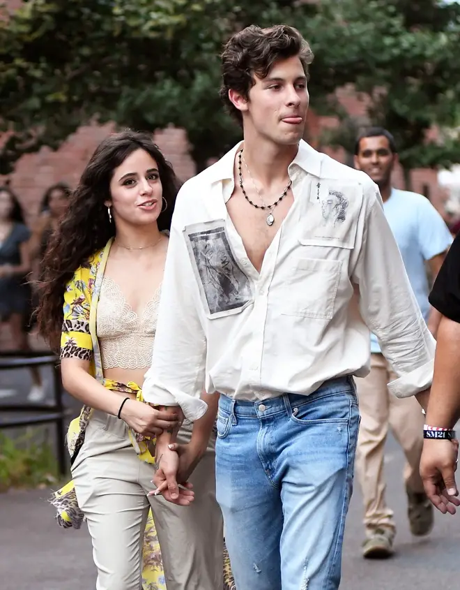 Camila Cabello and Shawn Mendes holding hands in New York