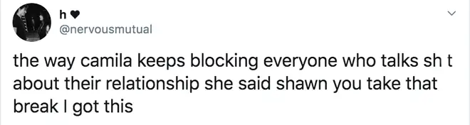 Fan defends Camila Cabello for blocking fans