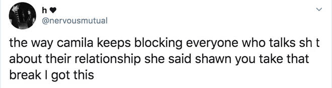 Fan defends Camila Cabello for blocking fans