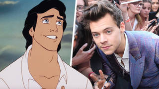 Harry Styles has apparently turned down the role of Prince Eric