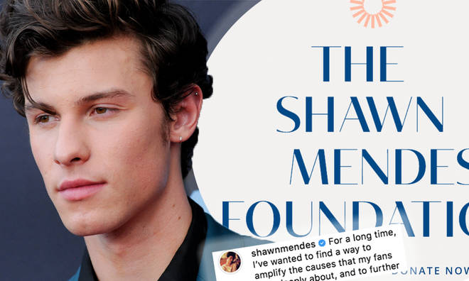 Shawn Mendes launches charitable foundation for issues close to fans
