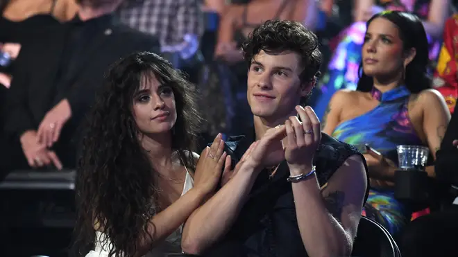 Shawn Mendes and Camila Cabello are rumoured to be dating