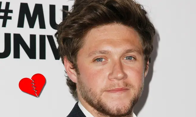 Niall Horan's new album will drop in 2020.