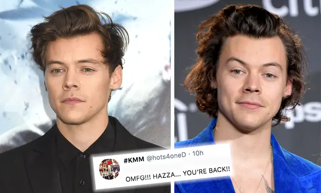 Harry Styles replies to fan and everyone thinks it's a clue