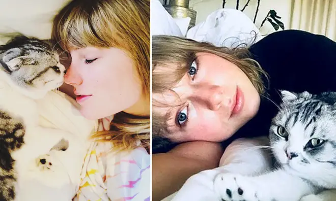 Taylor Swift admits to being lazy and loves to sleep