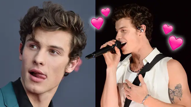 Shawn Mendes registers new song 'Unattainable'