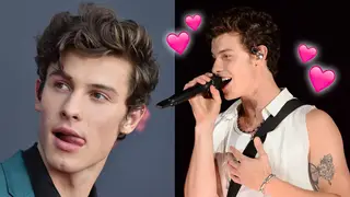 Shawn Mendes registers new song 'Unattainable'