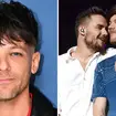 Is Louis Tomlinson's 'Dark To Light' about Liam Payne?