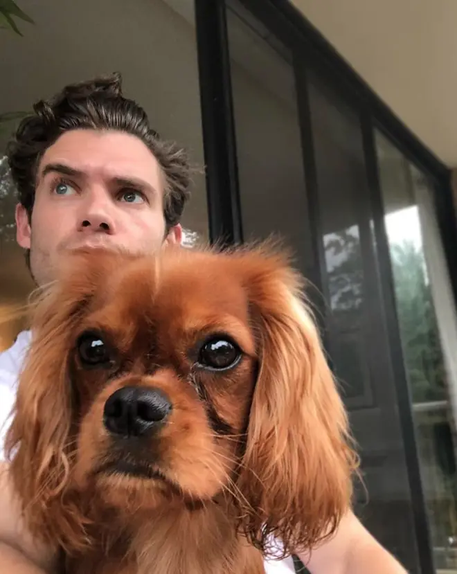 David Corenswet's Instagram is full of adorable dogs