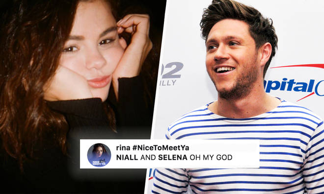 Fans are pretty excited Niall Horan & Selena Gomez are hanging out