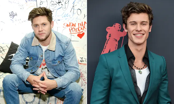Niall Horan has talked about his friendship with Shawn Mendes.