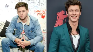 Niall Horan discusses friendship with Shawn Mendes