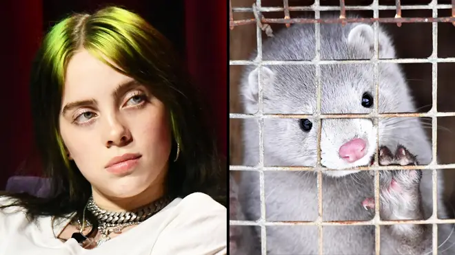 Billie Eilish says people who wear mink "disgust" her and asks fans to go vegan