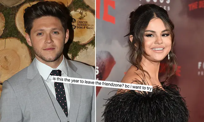 Niall Horan has admitted that he's 'good friends' with Selena Gomez.