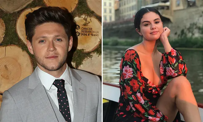 Niall Horan and Selena Gomez's friendship has blossomed