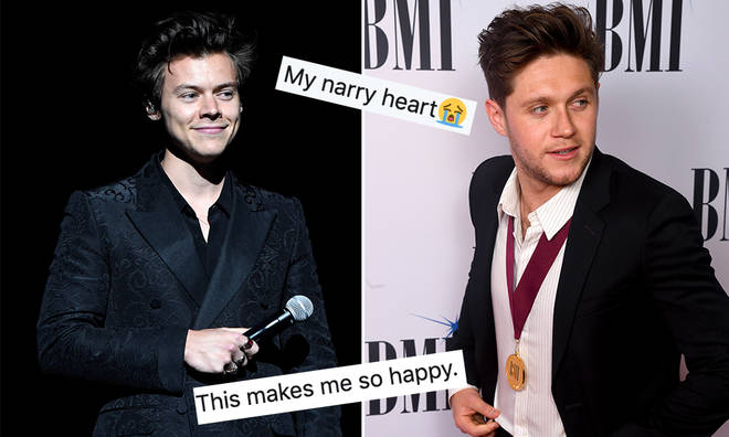 Niall Horan has admitted he loves Harry Styles' new music.