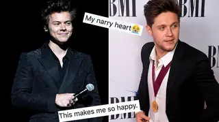 Niall Horan has admitted he loves Harry Styles' new music