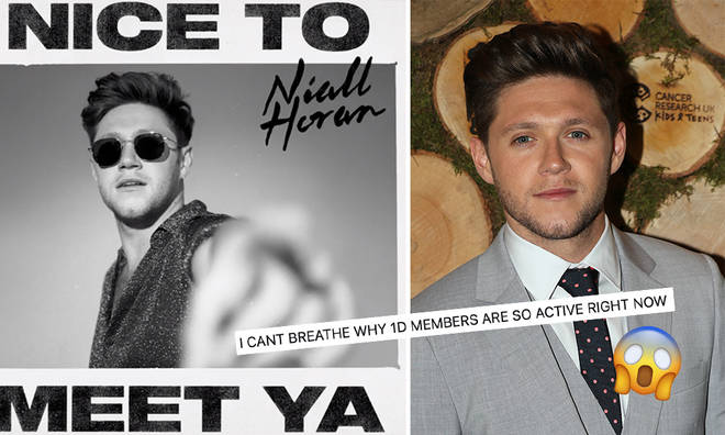 Niall Horan has teased a new take on 'Nice To Meet Ya'