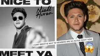 Niall Horan has teased a new take on 'Nice To Meet Ya'