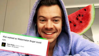Harry Styles teased an upcoming 'Watermelon Sugar'