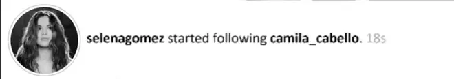 Selena Gomez follows Camila Cabello on Instagram