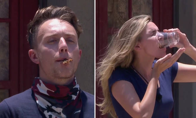 I'm A Celeb viewers were divided over the latest challenge using live bugs