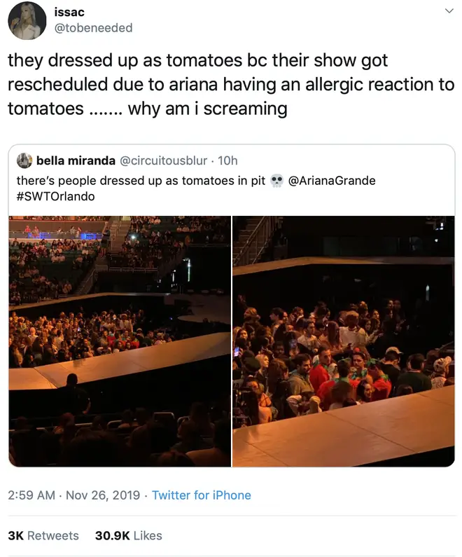Ariana Grande's fans dressed up as tomatoes at her Sweetener Tour