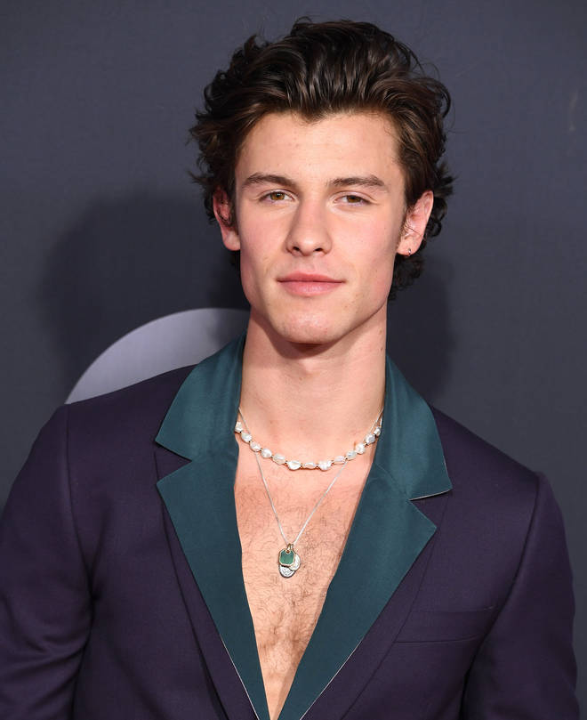 Shawn Mendes' makeup artist reveals the products she uses on him