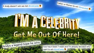Roman Kemp and Caitlyn Jenner are amongst Twitter's favourites to win